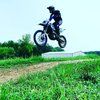 dyscott
